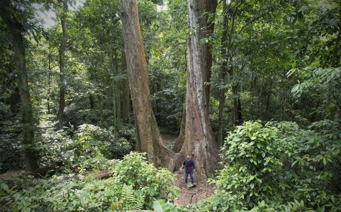 Day Trip to Ninh Binh from Hanoi Cuc Phuong Trang An